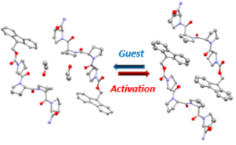 AnielloP_bio_SciencePic1